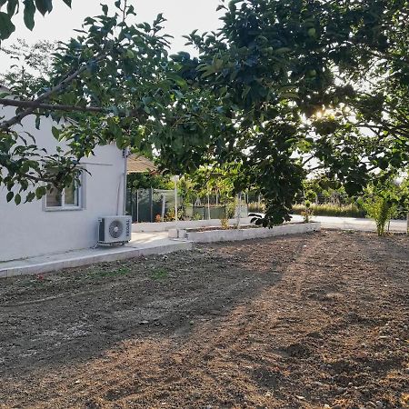 Alibaba Villa Near Airport And Beach Dalaman Exterior foto