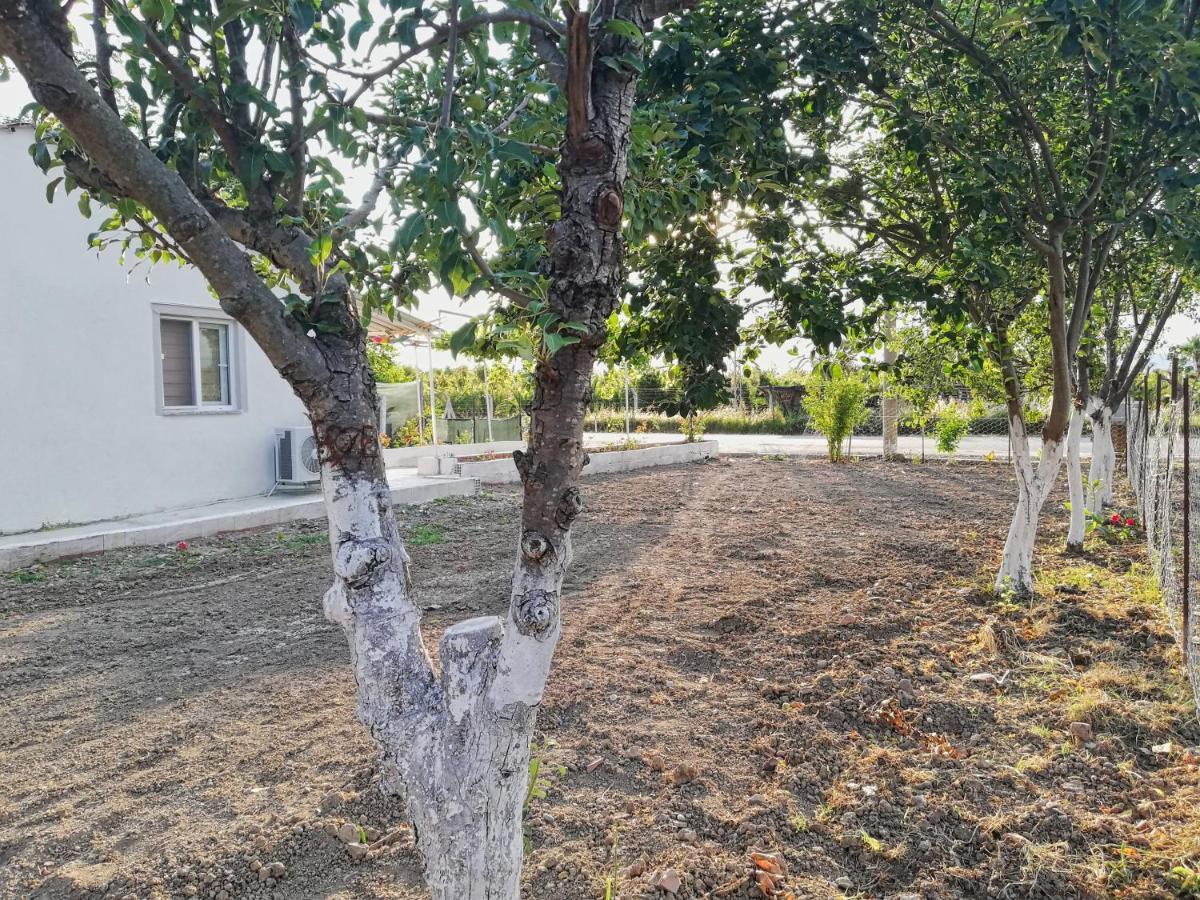 Alibaba Villa Near Airport And Beach Dalaman Exterior foto